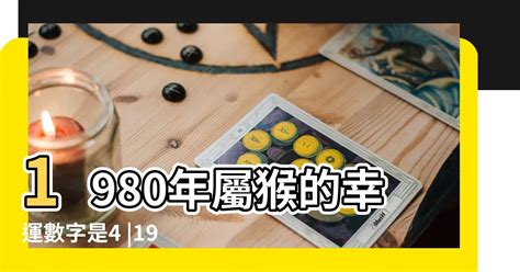 屬猴幸運數字|屬猴人的幸運數字是什麼？揭示猴年出生者的吉祥數字與意義